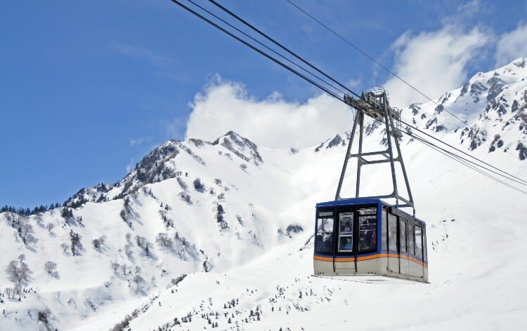 Shirakawa-go & Tateyama Alpine Route 3-Day Bus Tour - Who should book this tour?