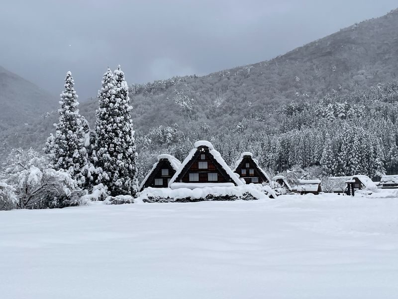 Shirakawa-go UNESCO Village Half-Day Guided Walking Tour - An early start can change the feel of the village