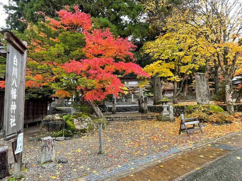 Shirakawa-go UNESCO Village Half-Day Guided Walking Tour - Local guides make the difference