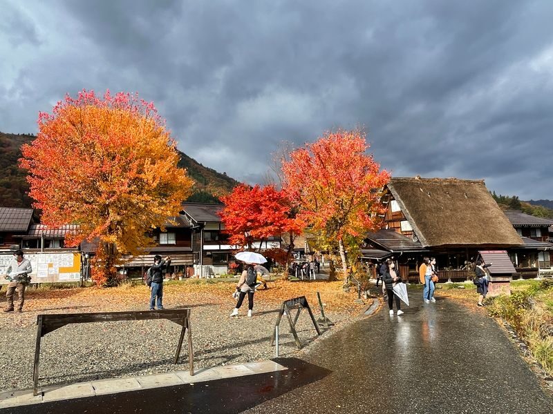 Shirakawa-go UNESCO Village Half-Day Guided Walking Tour - Is $94.59 good value?