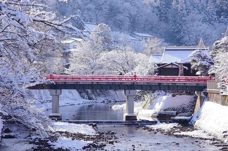 Shirakawa-go Winter Illumination & Hida Takayama Full-Day Tour - Who should book this tour