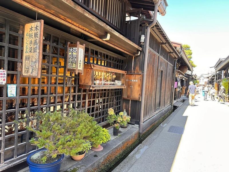 Shirakawa-go Winter Illumination & Takayama Old Town Tour - Who should choose this day trip?
