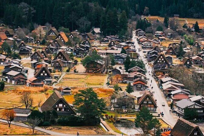 Shirakawa Ono Gifu Bus Tour Experience - An In-Depth Look at the Tour Experience