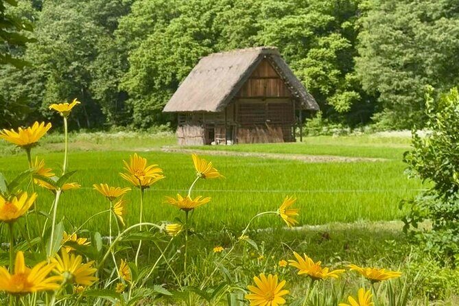 Shirakawa Ono Gifu Bus Tour Experience - Final Thoughts