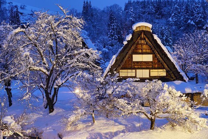 Shirakawago All Must-Sees Private Chauffeur Tour with a Driver (Takayama DEP.) - The Itinerary Breakdown: What to Expect