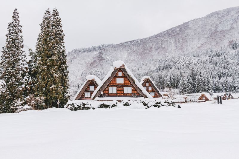 Shirakawago and Kanazawa Day Tour and optional bullet train - The coach ride takes the transport puzzle off your plate