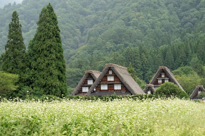 Shirakawago and Kanazawa Day Tour and optional bullet train - Practical details before you go