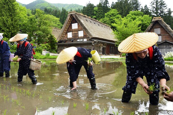 Shirakawago Day Trip: Government Licensed Guide & Vehicle from Takayama - Key Points
