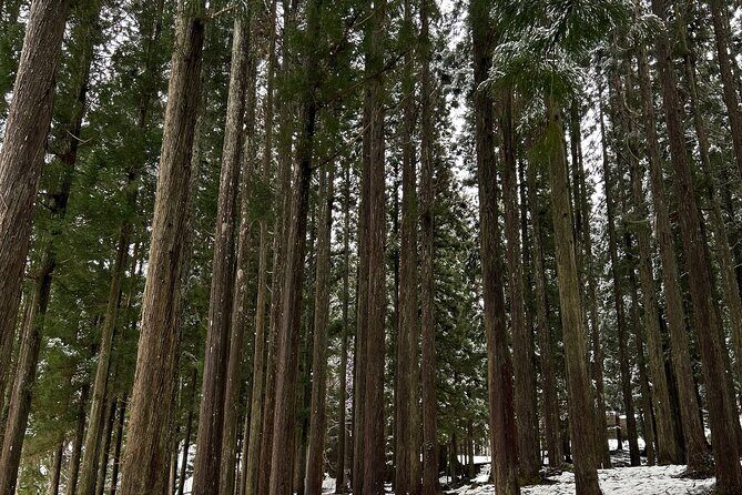 SHIRAKAWAGO Daytour with Hotel Pick-up and Drop off from Nagoya - Introduction: An Authentic Day Trip to Shirakawa-go