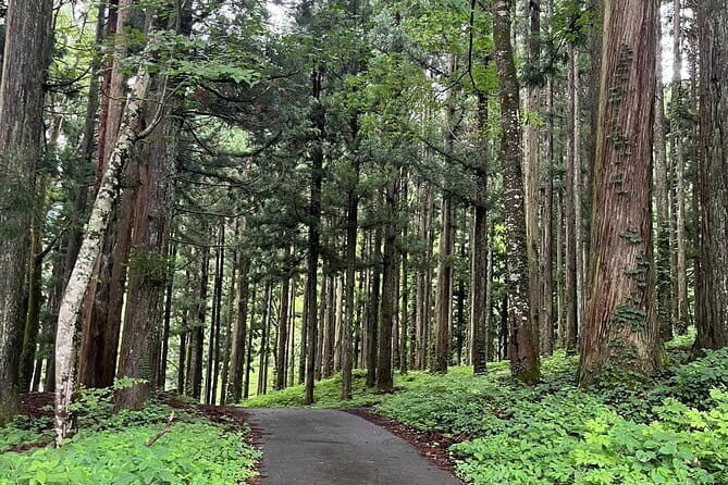 Shirakawago Gujo Hachiman & Hida Takayama Day tour from Nagoya - Practical Considerations