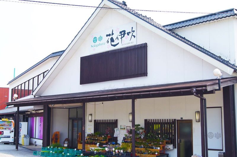 Shirakawago & Hida Winter Illumination 2-Day Bus Tour (from Osaka) - Practical details that matter