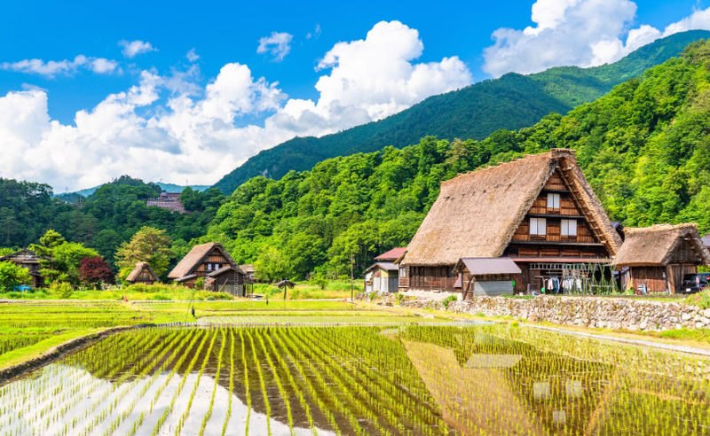 Shirakawago&HidaTakayama&Tateyama 2 Days Trip from Osaka/Nagoya - Three very different sides of central Japan