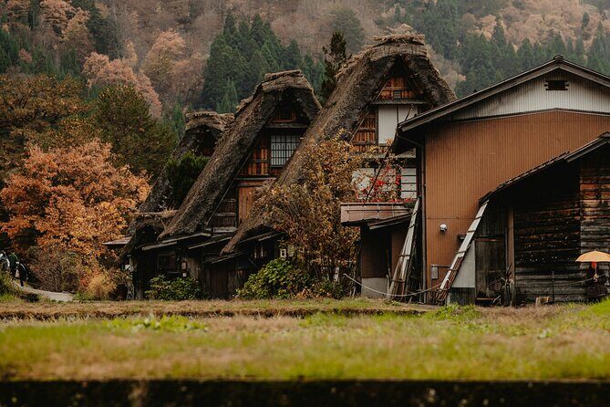 Shirakawago & Kanazawa from Kanazawa - Discover Japan’s Authentic Heart on a Day Trip from Kanazawa
