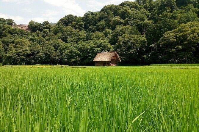 Shirakawago & Kanazawa from Kyoto by bullet train - Who Should Consider This Tour?