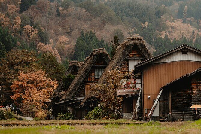 Shirakawago & Kanazawa from Tokyo by bullet train - Who Will Appreciate This Tour?