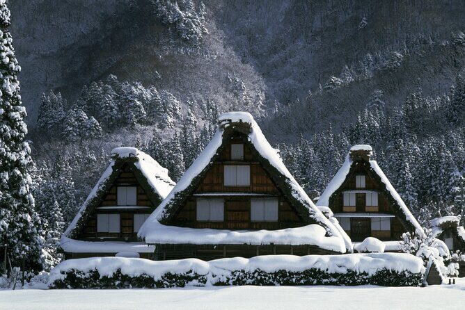 Shirakawago Stay!Hida Light Up, Snow Play 2Days Tour from Nagoya - Final Thoughts