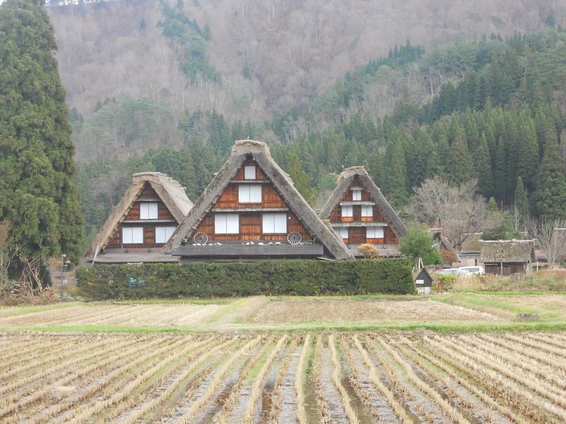 Shirakawago & Takayama Full Day Tour from Kanazawa - What to know before you go
