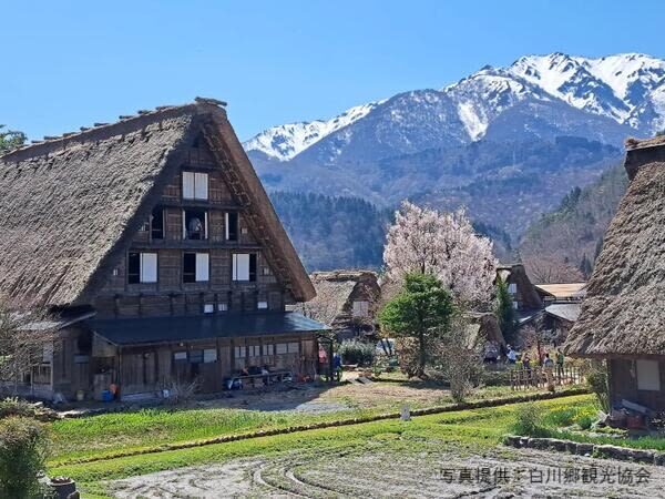 Shirakawago & Takayama Full Day Tour from Kanazawa - Kamisannomachi: wooden streets and old merchant houses