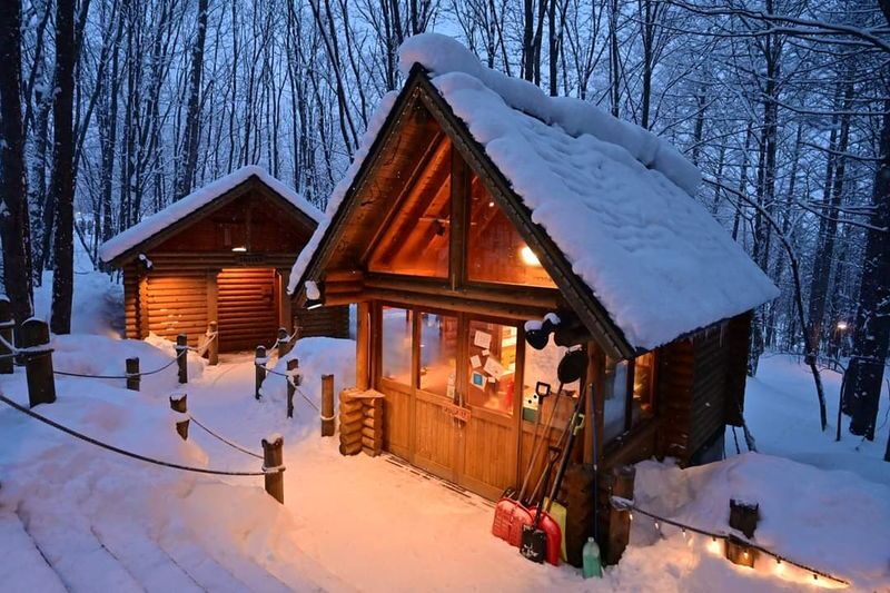 Shirogane Blue Pond & Ningle Terrace Dual Illumination & Dusk Christmas Tree & Shirahige Waterfall & Shikisai-no-Oka Winter Dual Illumination Day Tour - The essentials at a glance