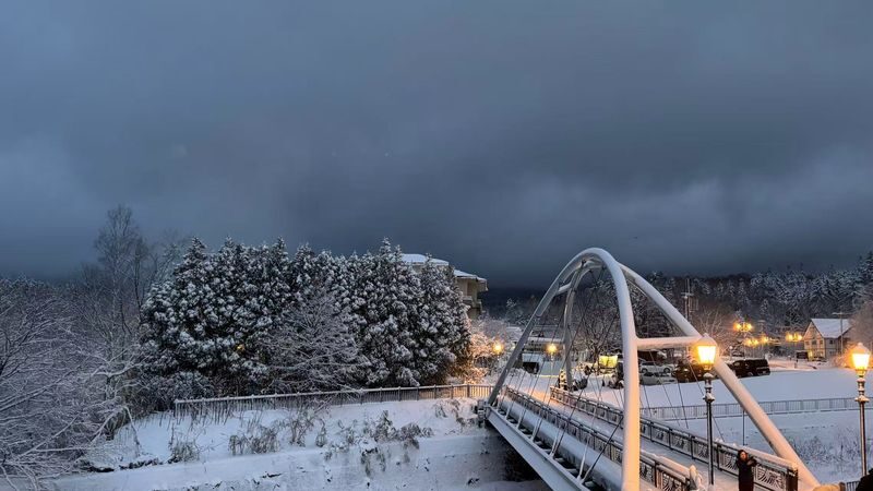 Shirogane Blue Pond & Ningle Terrace Dual Illumination & Dusk Christmas Tree & Shirahige Waterfall & Shikisai-no-Oka Winter Dual Illumination Day Tour - The Christmas Tree at dusk: brief, photogenic and popular