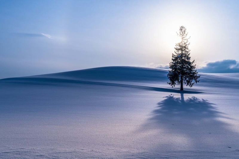 Shirogane Blue Pond & Ningle Terrace Dual Illumination & Dusk Christmas Tree & Shirahige Waterfall & Shikisai-no-Oka Winter Dual Illumination Day Tour - Ningle Terrace after dark: the evening highlight for many