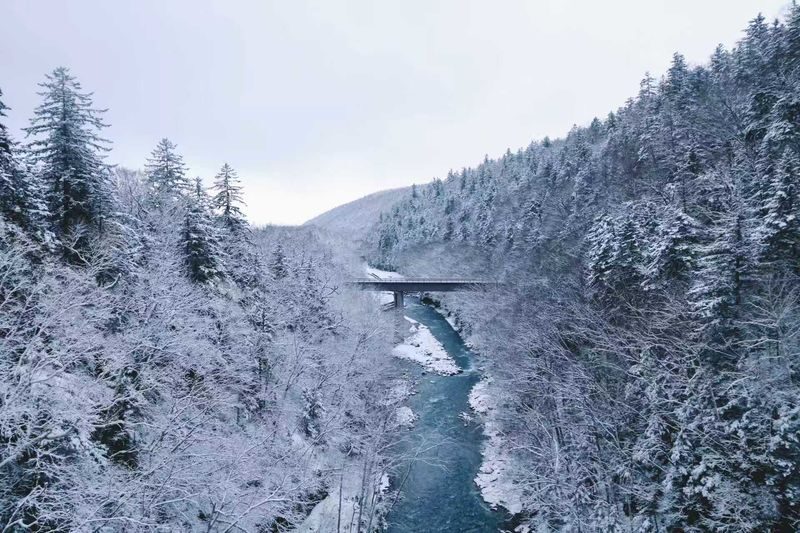 Shirogane Blue Pond & Ningle Terrace Dual Illumination & Dusk Christmas Tree & Shirahige Waterfall & Shikisai-no-Oka Winter Dual Illumination Day Tour - Guides, transport and the rhythm of the day