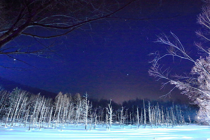 Shirogane Blue Pond & Ningle Terrace Dual Illumination & Dusk Christmas Tree & Shirahige Waterfall & Shikisai-no-Oka Winter Dual Illumination Day Tour - Is the price good value?