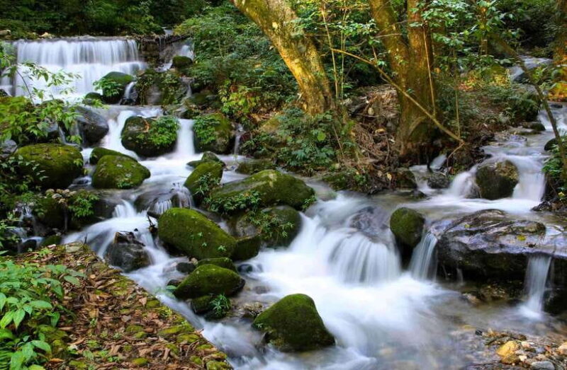 Shivapuri National Park Hike  Scenic Day Trek - Key Points