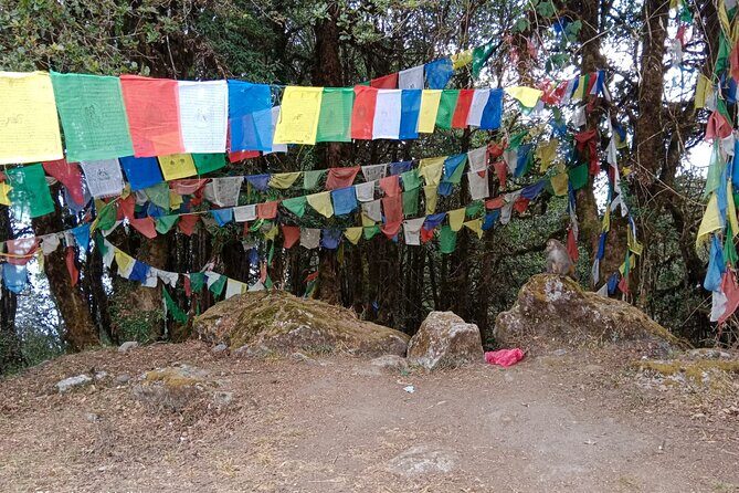 Shivapuri Peak Day Hike from Kathmandu - Authentic Experiences and Practical Details