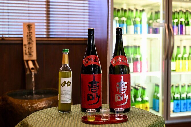 Shizuoka Area: Mt. Fuji Cultural Experience Private Tour - Key Points