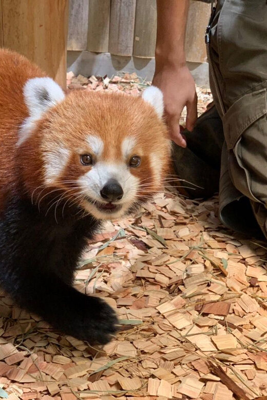 Shizuoka: Atagawa Tropical & Alligator Garden Entrance - An In-Depth Look at the Atagawa Tropical & Alligator Garden