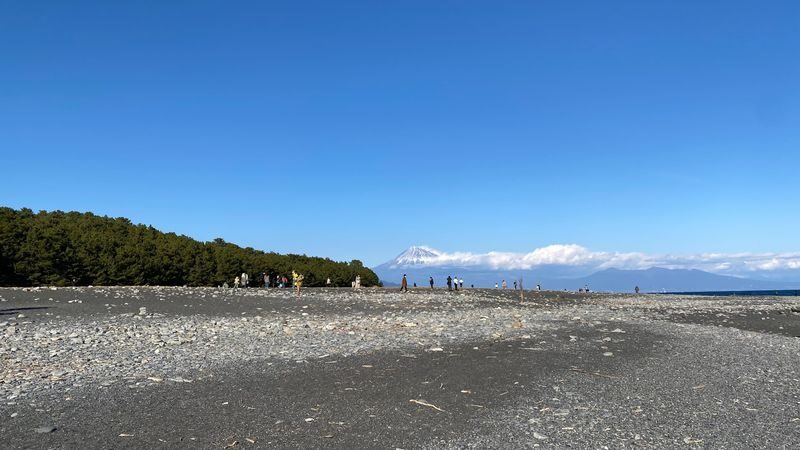 Shizuoka City Private Day Tour with Mt.Fuji Viewing and Ropeway - At a glance