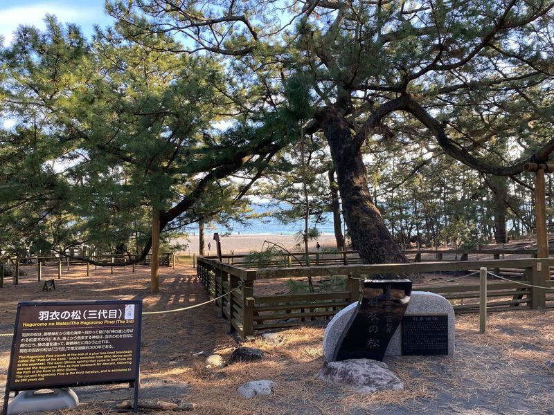 Shizuoka City Private Day Tour with Mt.Fuji Viewing and Ropeway - Miho no Matsubara’s coastal pine grove