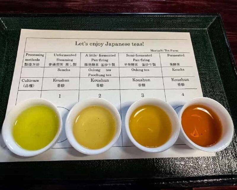 Shizuoka: Japanese Tea Tour with Tasting and Tea Making - Discovering Japan’s Tea Heartland: Shizuoka’s Japanese Tea Tour with Tasting and Making