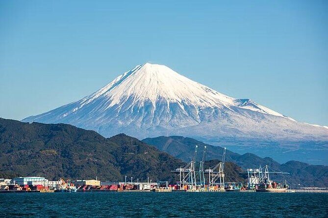Shizuoka Private Vehicle Service with Restaurant Reservation - Exploring Shizuoka: A Flexible, Personalized Journey