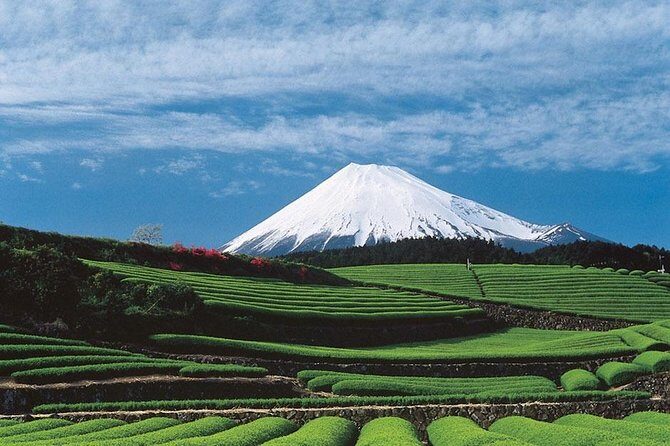 Shizuoka/Shimizu Mt Fuji View 6 hr Private Tour: Guide Only - Final Thoughts