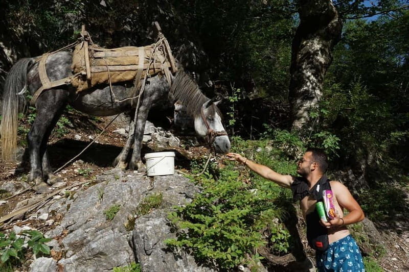 Shkoder: Albanian Alps and Theth Village Day Tour - Who Will Love This Tour?