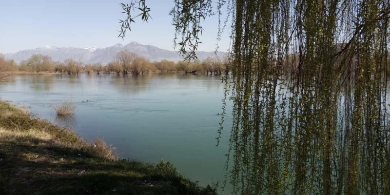 Shkodër Culinary & Wellness Experience  Hidden Gems - FAQ