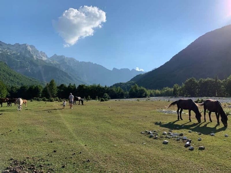 Shkoder: Transfers to Valbona/Theth/Shala River. Both ways. - The Sum Up