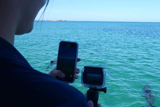 Shoalwater Islands Marine Park Cruise with Lunch - Final Verdict: Is It Worth It?