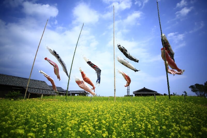 Shodoshima Island Tour Bus (Kagawa) - Kankakei Gorge: lunch at the summit, ropeway down