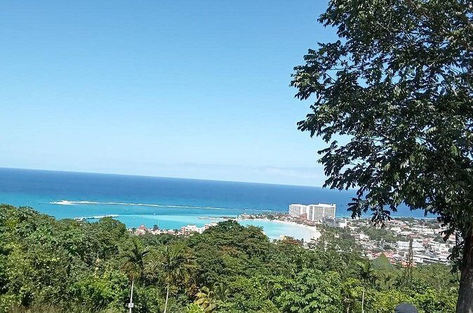 Shopping and Sightseeing from Riu Aquarelle/ Falmouth - Who Should Consider This Tour?