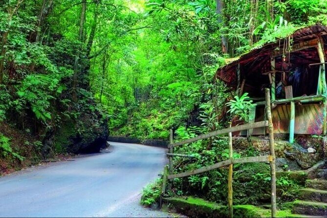 Shopping and Sightseeing Tour in Ocho Rios - Exploring the Tour: A Complete Breakdown