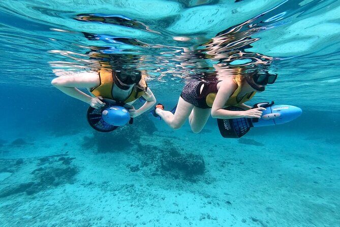 Shopping & Mexican Flavors with Transportation Included - Who Should Book This Tour?