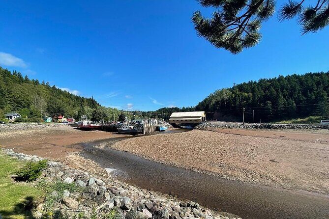Shore and Hopewell Rocks Guided Tour - Who will love this tour?