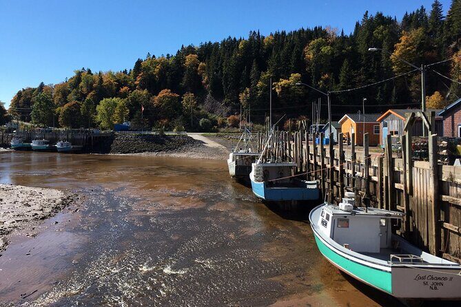 Shore and Hopewell Rocks Guided Tour - FAQ