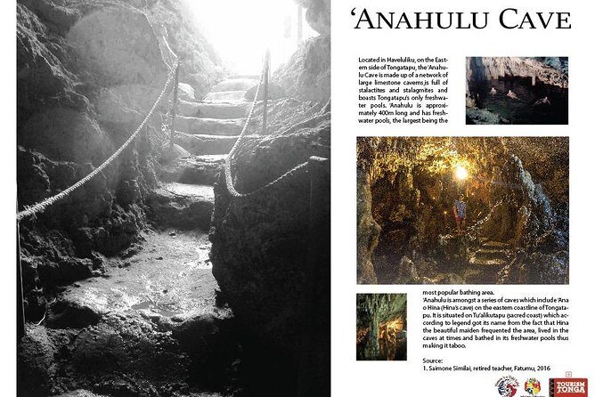 Shore Excursion: 3-Hour Tongatapu East Coast and Anahulu Cave Tour - Who Is This Tour Perfect For?