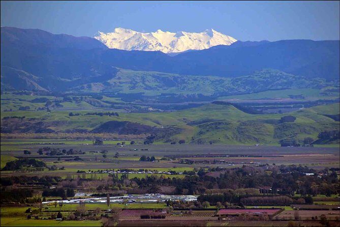 Shore Excursion: 4-Hour Discover Hawkes Bay and Napier Tour - The Practical Side: Transportation, Timing, and Value