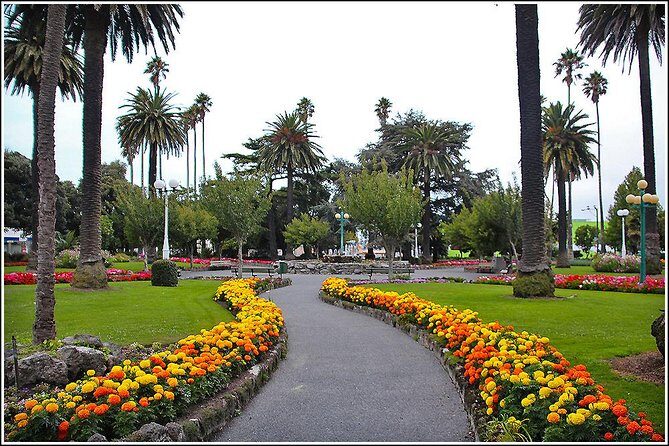 Shore Excursion: 4-Hour Discover Hawkes Bay and Napier Tour - Who Will Love This Tour?