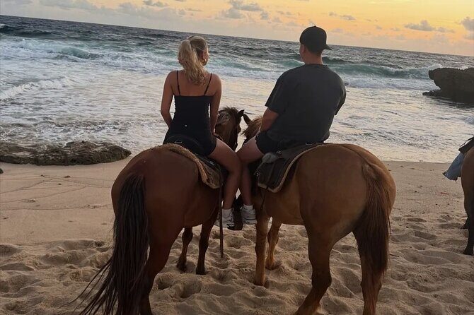 Shore Excursion Arubas Ecological and Beach Horseback Riding - Exploring Aruba’s Ecological and Beach Horseback Riding